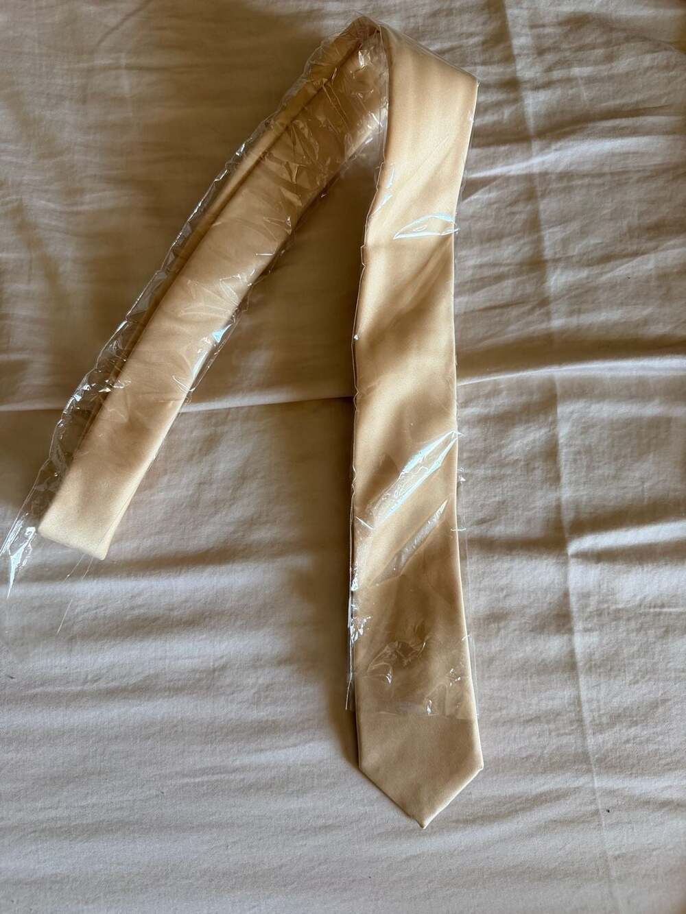 Vesuvio Napoli Solid Beige Necktie Brand New